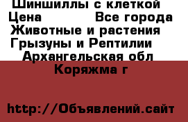 Шиншиллы с клеткой › Цена ­ 8 000 - Все города Животные и растения » Грызуны и Рептилии   . Архангельская обл.,Коряжма г.